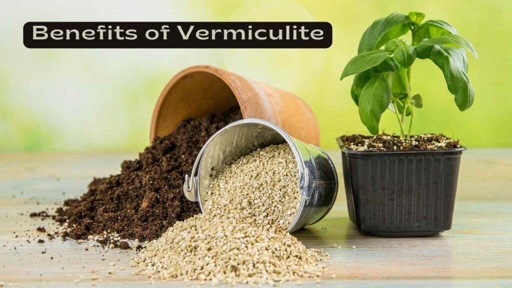 Benefits of Vermiculite