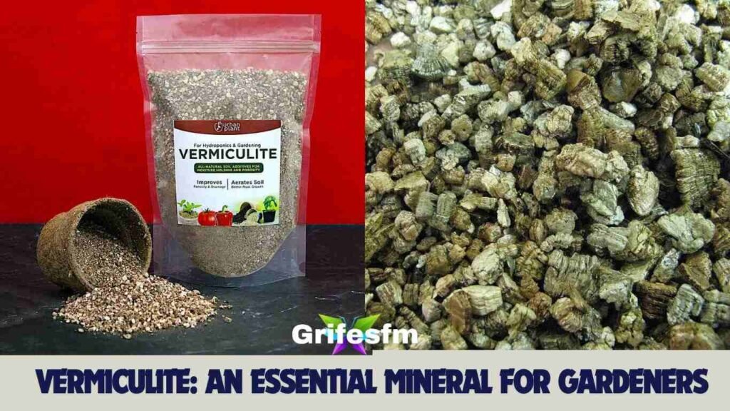 Vermiculite